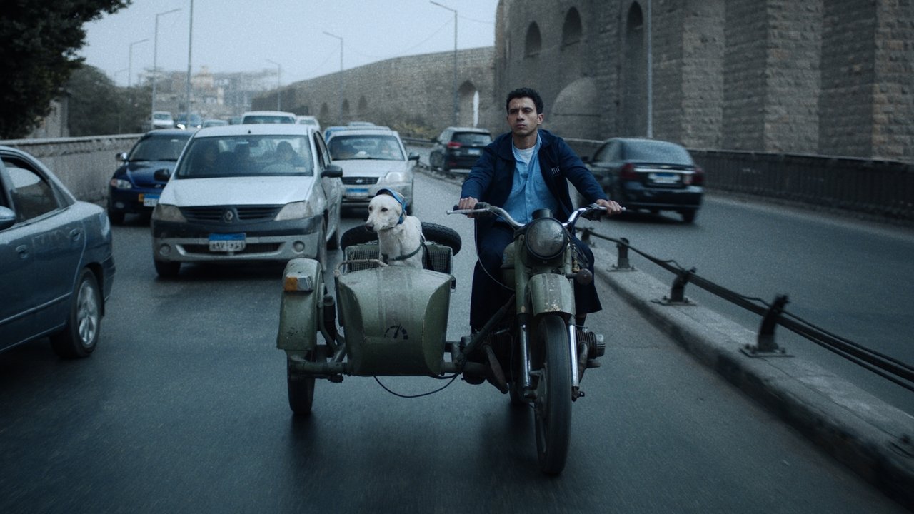 Seeking Haven for Mr. Rambo Movie Screenshot 1