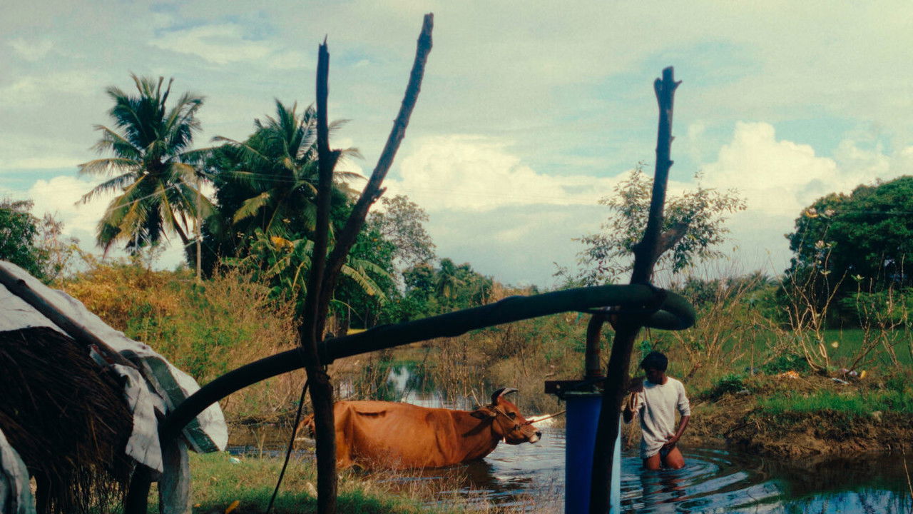 Theatre Movie Screenshot 3