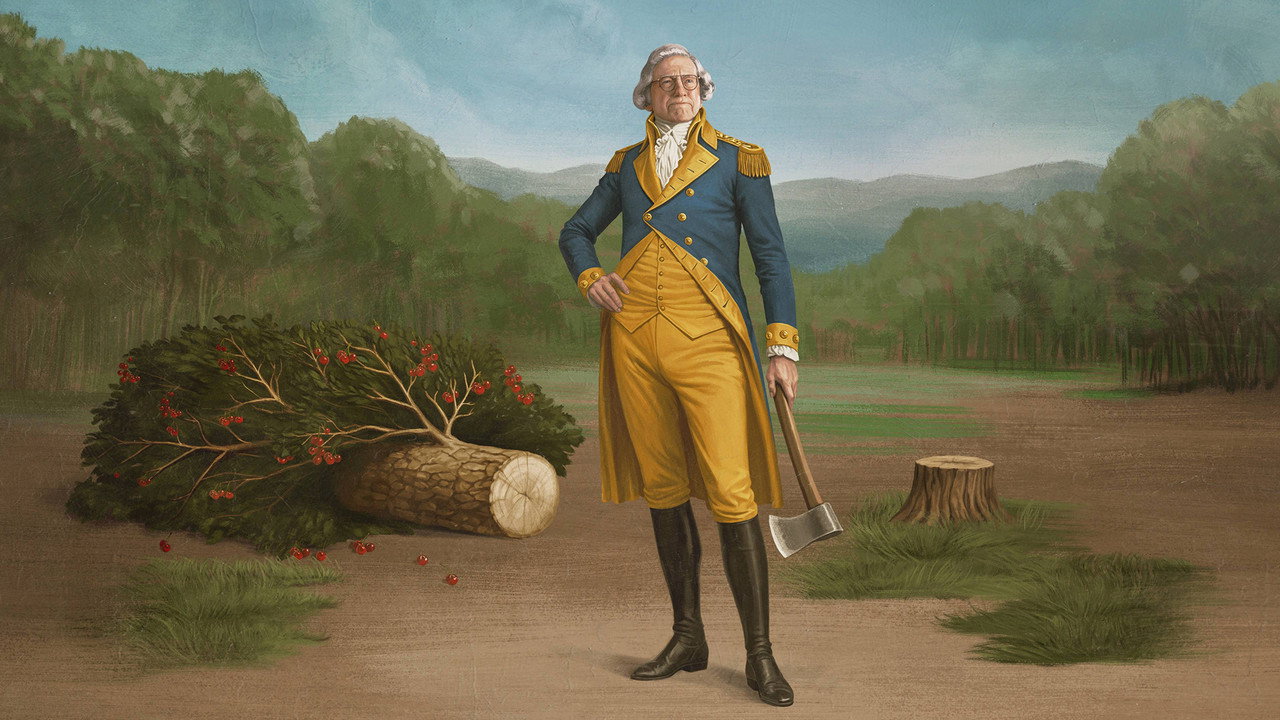 Life, Larry and the Pursuit of Unhappiness: An Almost History of America Series Screenshot 1