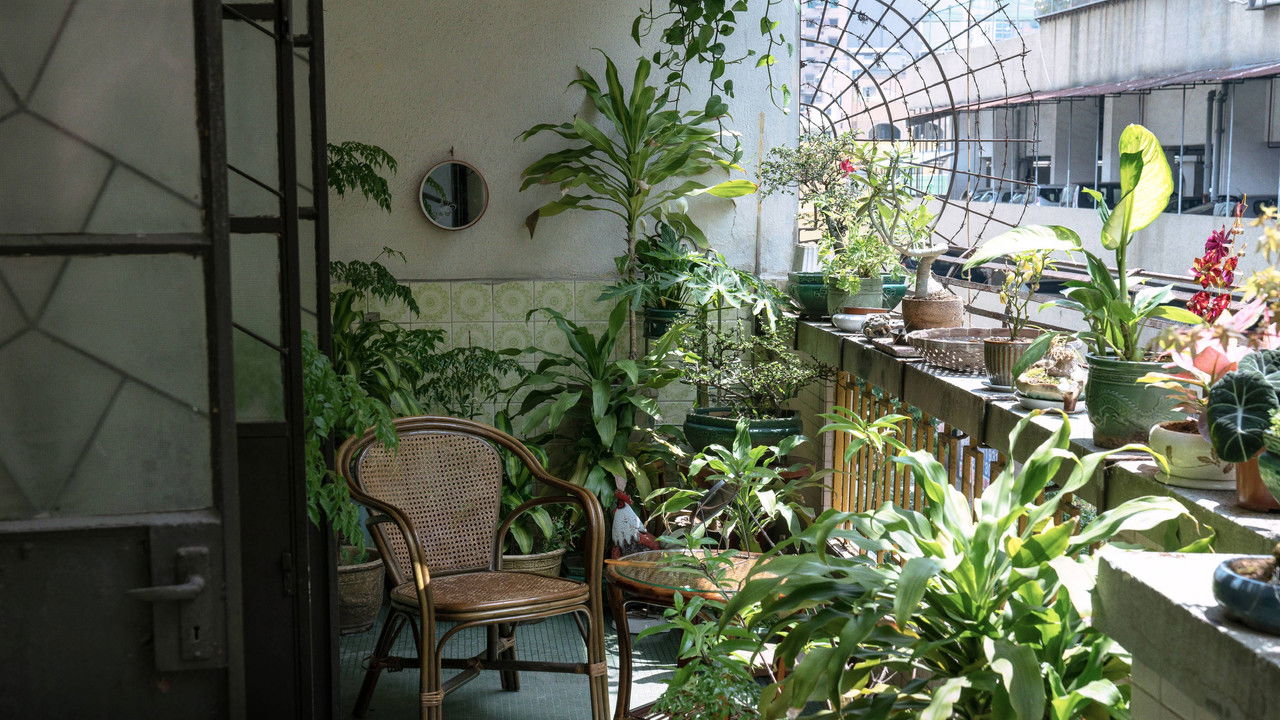 Revisit Movie Screenshot 2