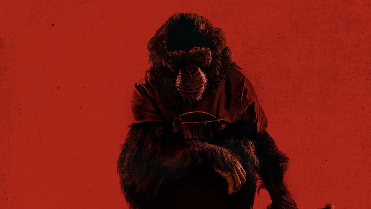 Primate Movie Screenshot 3