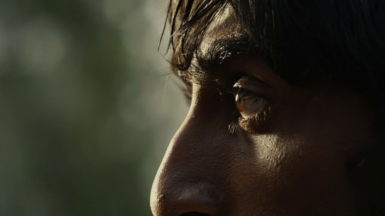 Mushrooms Movie Screenshot 1