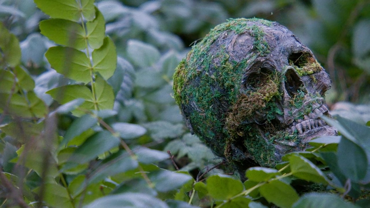 Die Alone Movie Screenshot 5