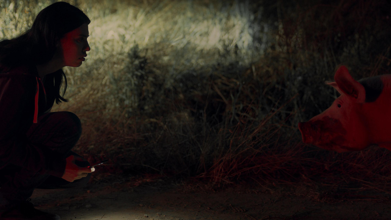 You Are Not Me Movie Screenshot 2