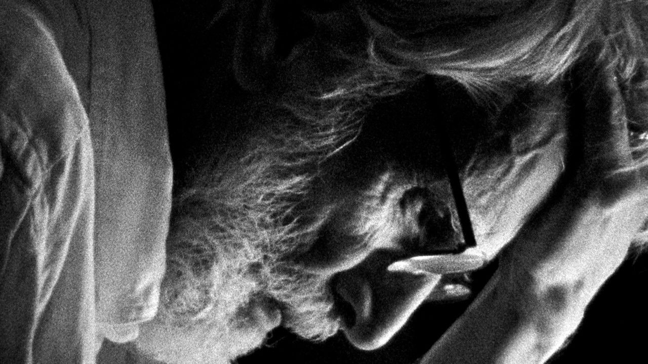 Later in the Clearing Movie Screenshot 1