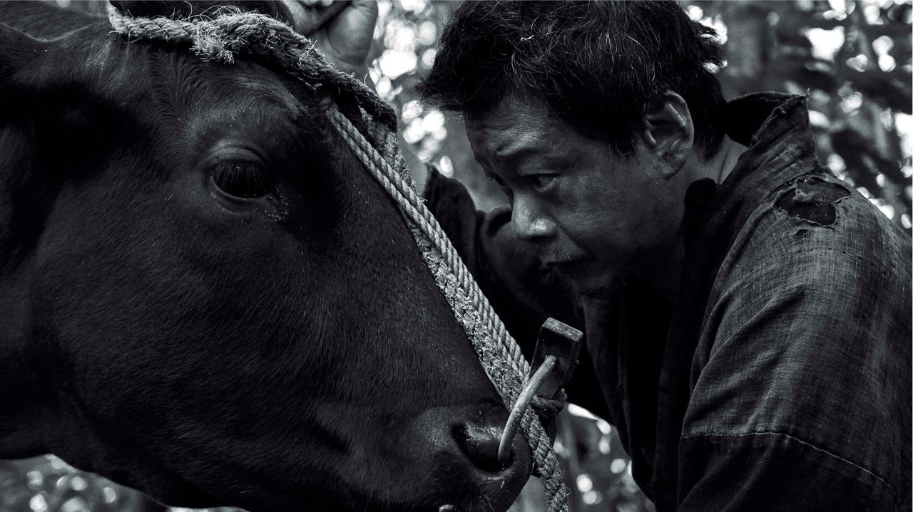 Black Ox Movie Screenshot 4