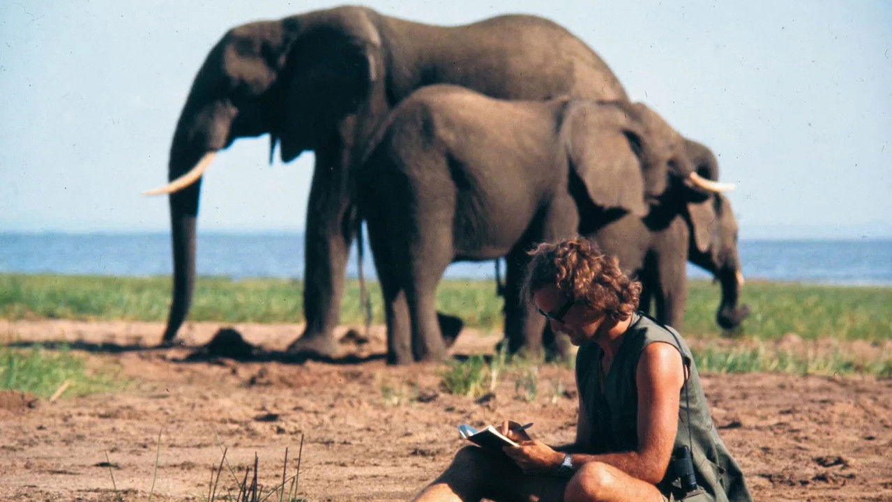 A Life Among Elephants Movie Screenshot 3